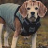 Het onderhouden van de kleren van uw hond.